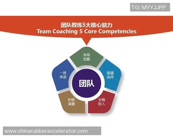 南京排球队团队协作深度解析与其他球队的对比研究